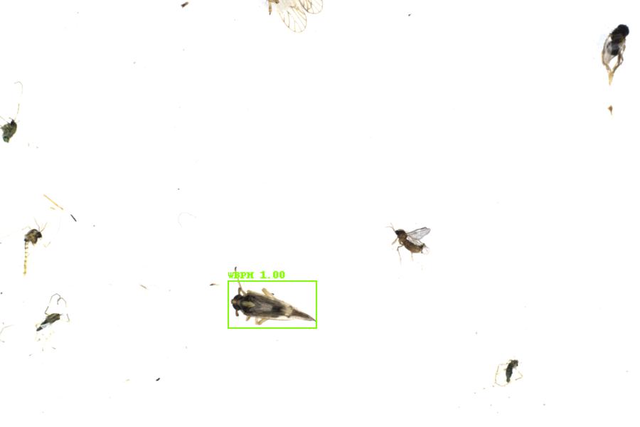 Image 114